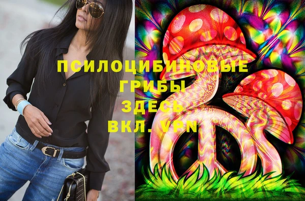 круглые Алексеевка